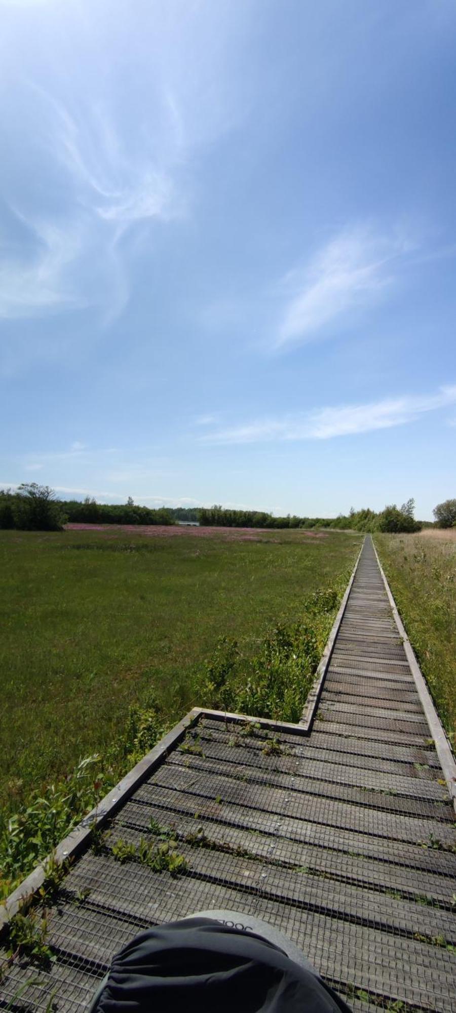 Mobilheim Herz Lauwersoog - Chalet Robbengat エクステリア 写真